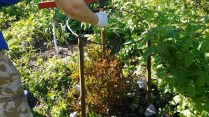 7 АРХИВ.Дача.29-31.05.20.это хорошо😂отдыхаем как можем))