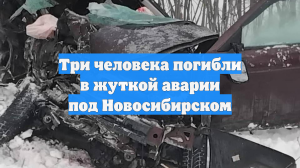 Три человека погибли в жуткой аварии под Новосибирском