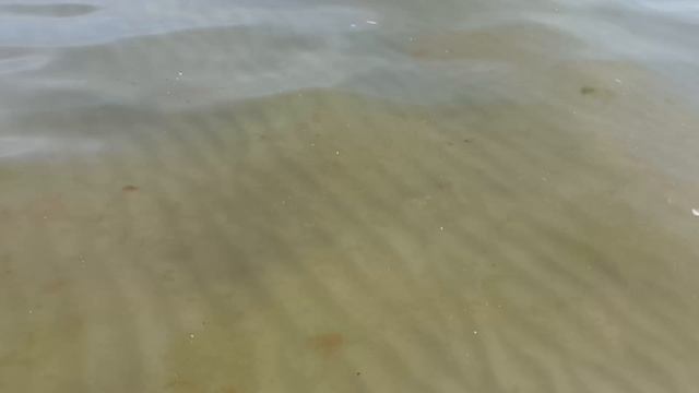 Стамбул 2 день (Истикляль)