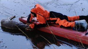 Спасатели спасли косулю в Белорецке