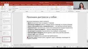 Домашние любимцы . Занятие от 07.11.2025. Педагог Дарченко Татьяна Олеговна