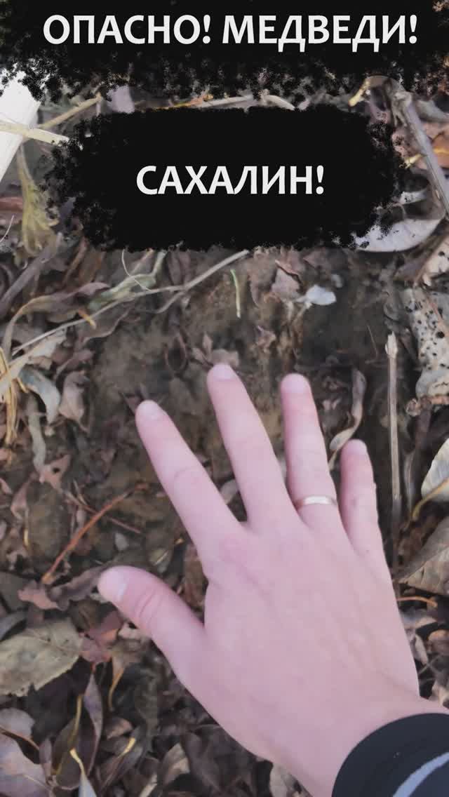 Вокруг медведи! Опасная рыбалка на Сахалине! #Сахалин #Рыбалка #Осенняярыбалка