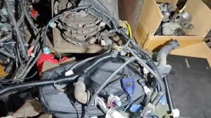 "Тараканы" Nissan Wingroad, прозваниваем каждый сантиметр электропроводки