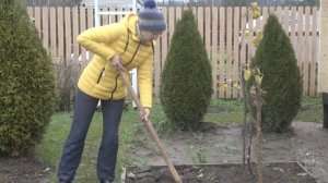 6 соток 8 ноября 2025 года. 1 часть