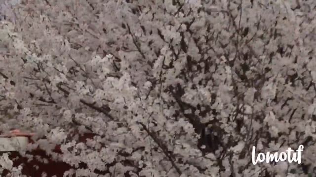 Весна в Геленджике