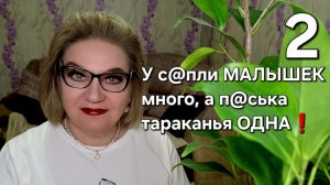 У с@пли МАЛЫШЕК много, а п@ська тараканья ОДНА❗️