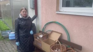 Как храню чеснок.