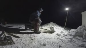 ОТЛИЧНЫЙ УЛОВ | ПРОВЕРКА ПЕРЕМЕТА 13.11.2025