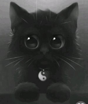 отвечаю на вопросы и открываю и проб
бую вкусняшки