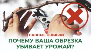 Ошибки, которые совершают садоводы осенью. Спасите сад от гибели!