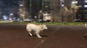 Встреча с девочкой 12 ноября 2025.mp4