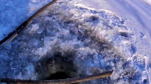 Речка Зея. Минус 5 живцов