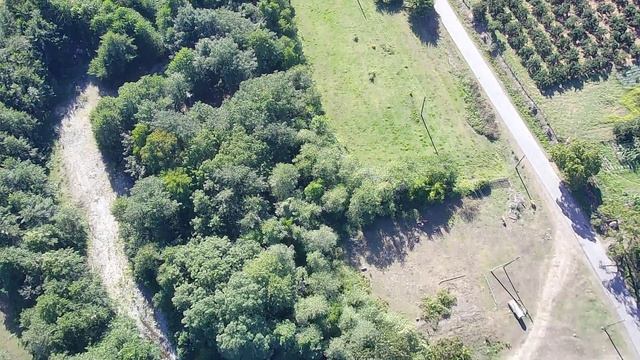 Полёт над родником в Ботанике