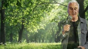 Я в весеннем лесу