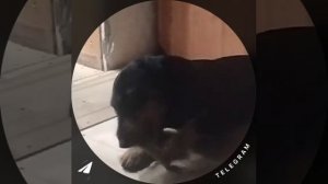 ТГ - 🎀КАТЯ НА ВАЙБЕ🎧