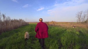 Жизнь в деревне. С прогулки и в дорогу