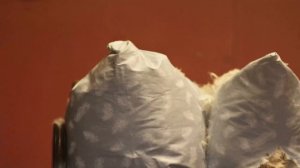 НАСТОЯЩИЕ - 1 серия