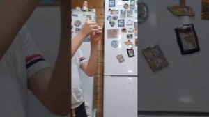 Лечим кошку