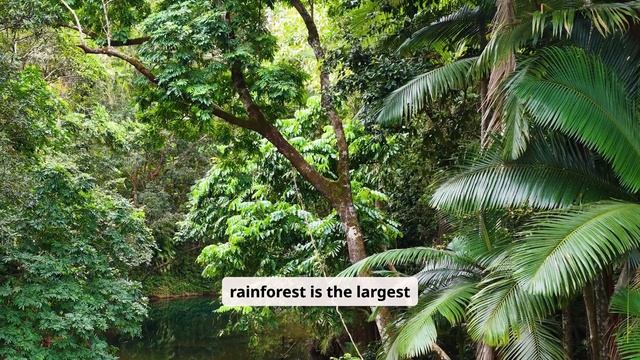 Tropical rainforests Spotlight 10 Module 4