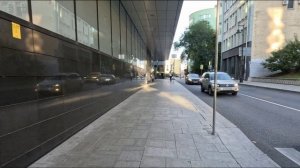 Золотая осень в Москве прогулка по красивым местам города 🌟🍁