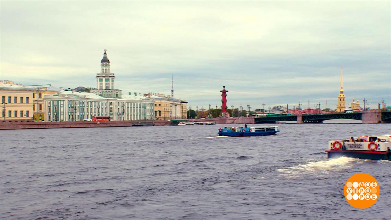 Санкт-Петербург, город дворцов. Доброе утро. Фрагмент выпуска от 14.11.2025