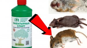Как избавиться от мышей и крыс навсегда За 1 минуту.!.