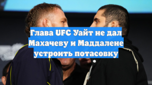 Глава UFC Уайт не дал Махачеву и Маддалене устроить потасовку