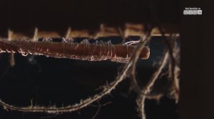 Почти утраченное ремесло ткачества из конского волоса возродили в Братске