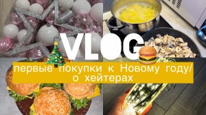 VLOG/первые покупки к Новому году🎄/ о хейтерах🙈