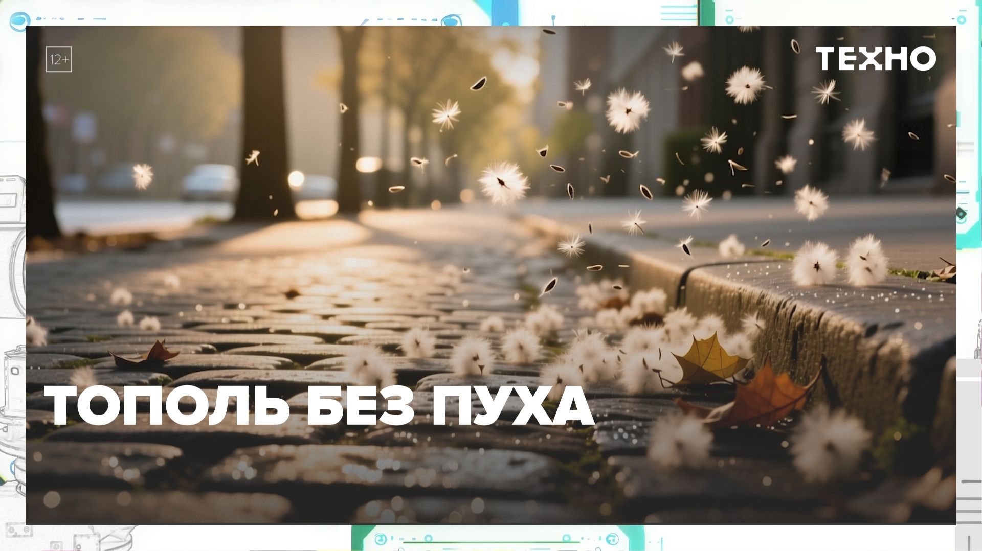 Ученые придумали, как избавить тополь от пуха | Техно — Москва 24 | Контент