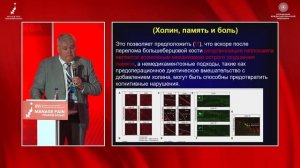 Когнитивные нарушения и боль: нейромеханизмы и клиническое значение