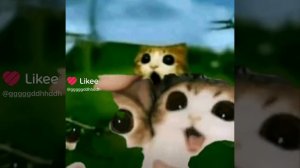 укради бреинрот