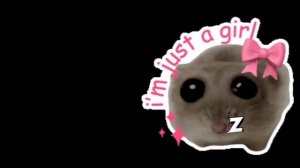 хомяк ракосель