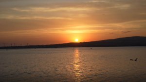 14.11.2025 С Днем Рождения Дорогой Григорий Петрович!