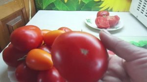 ГОСПОЖА УДАЧА. №66 в моем каталоге.  ДЕГУСТАЦИЯ 2020 г.