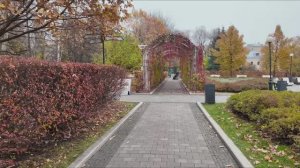 Бауманский сад осенью тёплая атмосфера краски природы и уют Москвы 🍂🌿