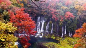 🍁💧 Водопад Сираито осенью | 5 часов успокаивающих звуков падающей воды (без музыки)