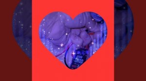 1000040106.mp4 (Собака смотрит на монтаж электропроводки (распайку р/коробок) в доме А-фрейм)