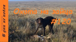 Охота на зайца. Выпуск № 120 18+
