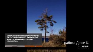 Старт конкурса «Берегите лесную красавицу» 12-11-2025