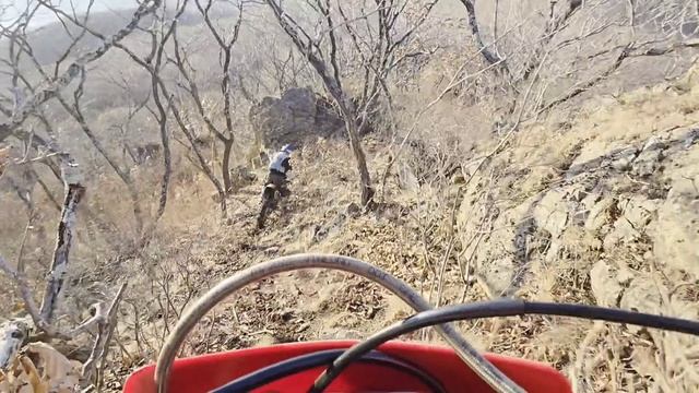 Лесные приключения ЭНДУРО 13 Ноября 2025 смотреть онлайн