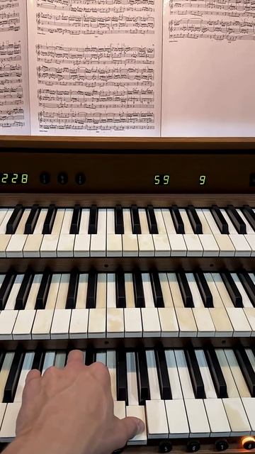 #walze #crescendo #organmusic #германлеонов #органнаямузыка смотреть онлайн