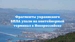 Фрагменты украинского БПЛА упали на контейнерный терминал в Новороссийске