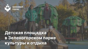 Детская площадка в Зеленогорском парке культуры и отдыха