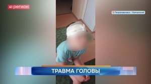 Новости Камчатки за 14 ноября 2025 года