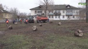 От центра до окраин: в Самаре высажено свыше 23 тысяч зеленых насаждений