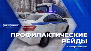 Профилактические рейды