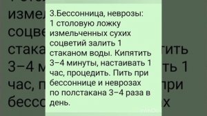 Это растение просто ЧУДО!!!