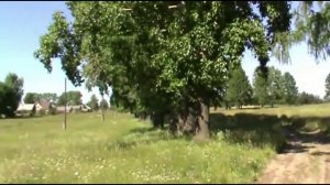 Любимый край