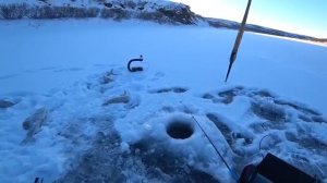 РЕКА ПОЛНАЯ РЫБЫ В  ПЕРВЫЙ ЛЕД!!! НО КАК ЕЕ ПОИМАТЬ_!! НОЧЕВКА НА ГОРНОЙ РЕКЕ В ПЕРВЫЙ ЛЁД 2025